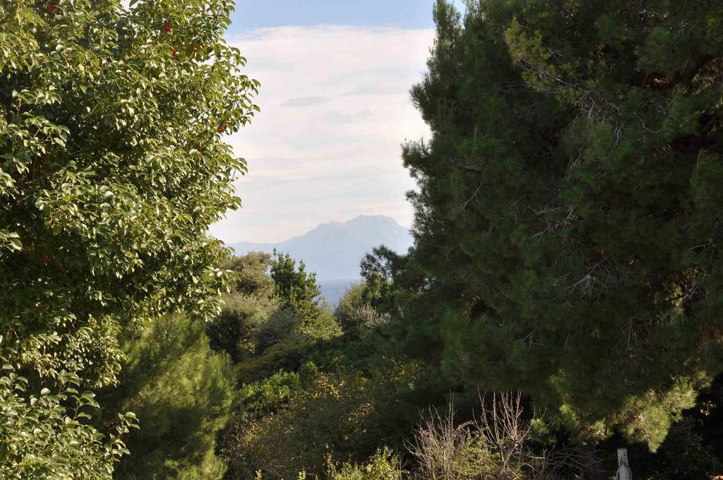 Residenza Le Rose Villa D'Arte Napels Buitenkant foto