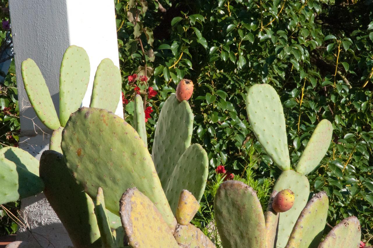 Residenza Le Rose Villa D'Arte Napels Buitenkant foto